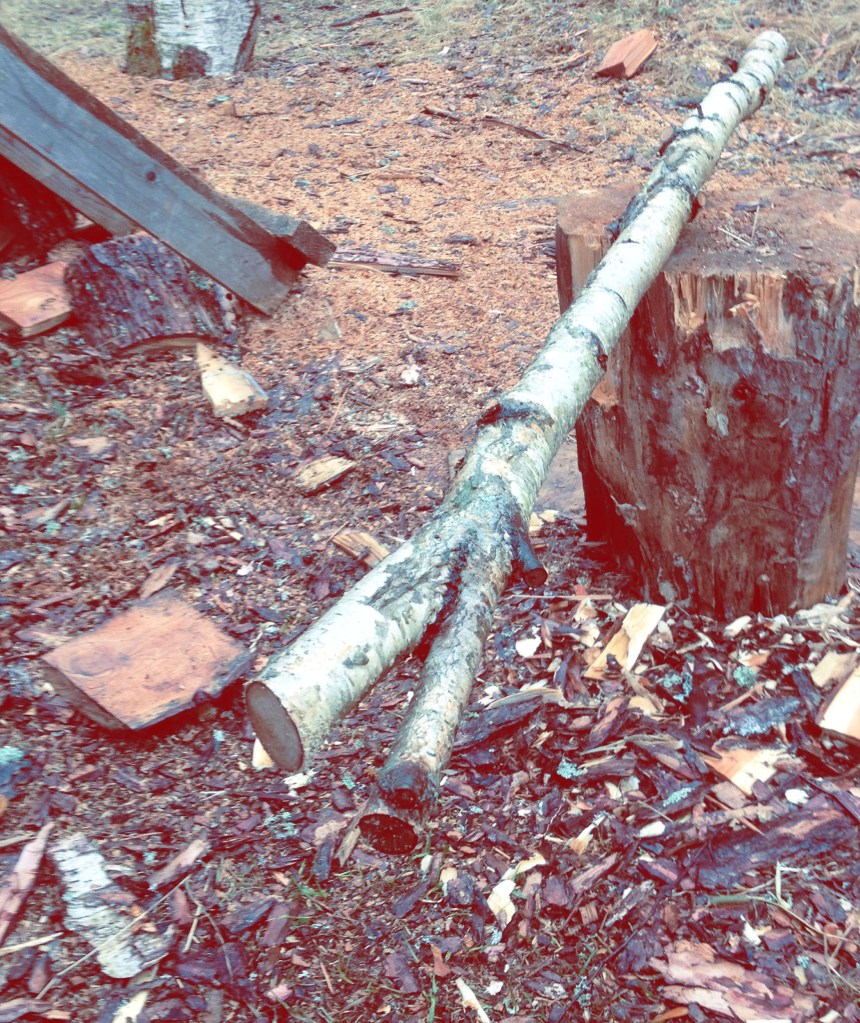 slöjd, färskträslöjd, figurslöjd, trähantverk, greenwood